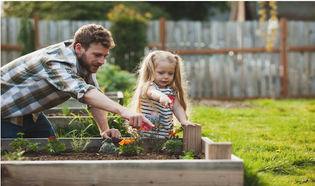 How To Build A Raised Garden Bed Growing Georgia